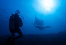 Perlindungan laut berbenturan dengan tekanan pertambangan di ekosistem laut paling beragam di Indonesia