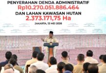 Pemaksaan yang dilakukan oleh Prabowo sedang membentuk kembali tatanan politik-ekonomi Indonesia
